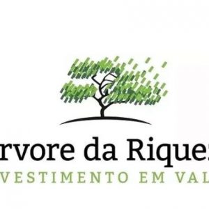 Árvore Da Riqueza – André Fogaça 2020.1