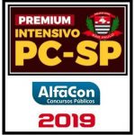 PC SP (INTENSIVO) ALFACON 2019.2