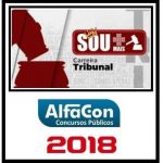SOU + CARREIRAS TRIBUNAIS Alfacon 2018.2