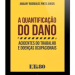 A Quantificação Do Dano 2016 – Amaury Pinto Junior
